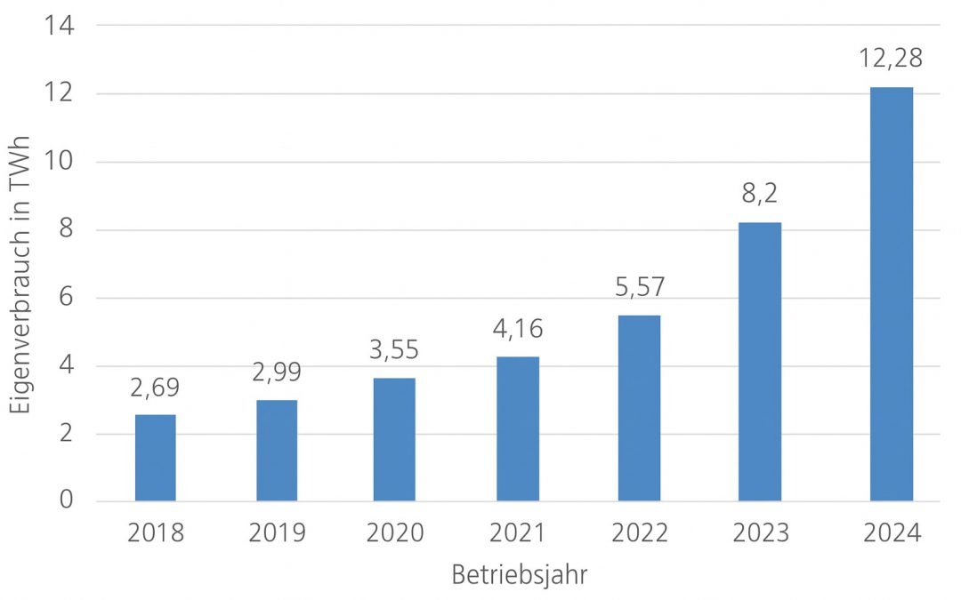 Photovoltaik-Eigenverbrauch in Deutschland steigt deutlich – Trend verstärkt sich durch Batteriespeicher